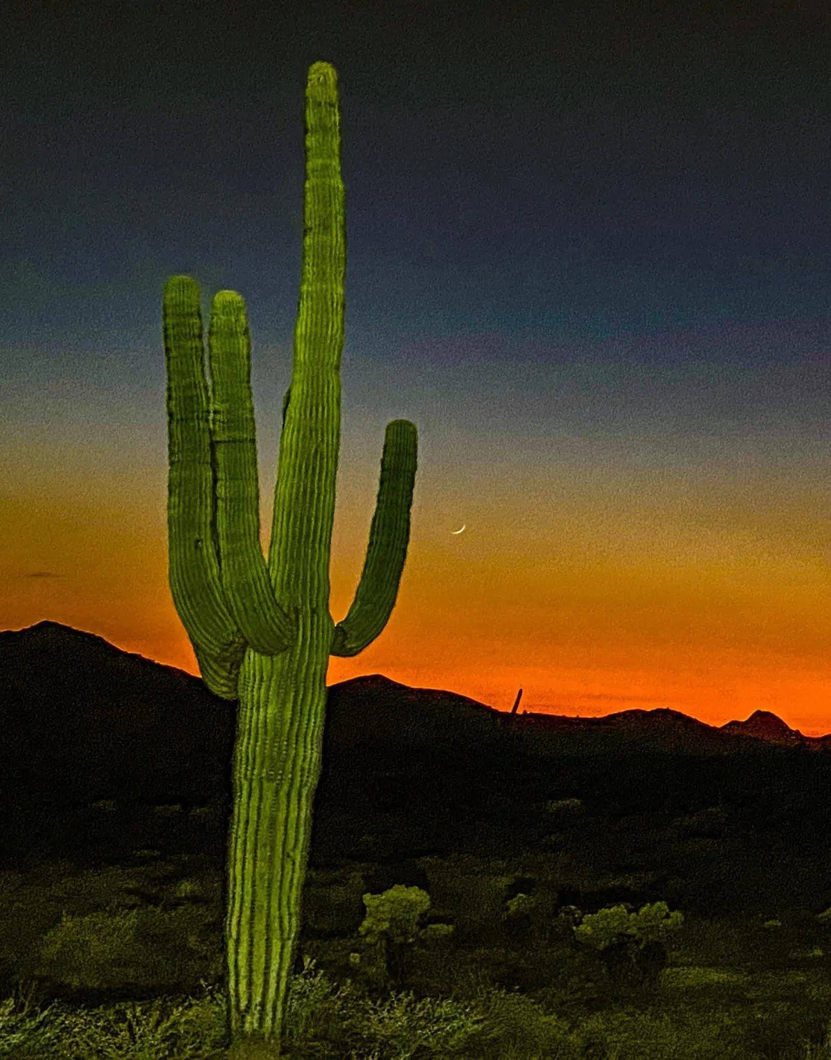 A classic Sonoran landscape with a towering saguaro cactus, distant mountains, and a vibrant sunset sky. The serene setting is ideal for evening walks, nature observation, and soaking in the region's iconic atmosphere.